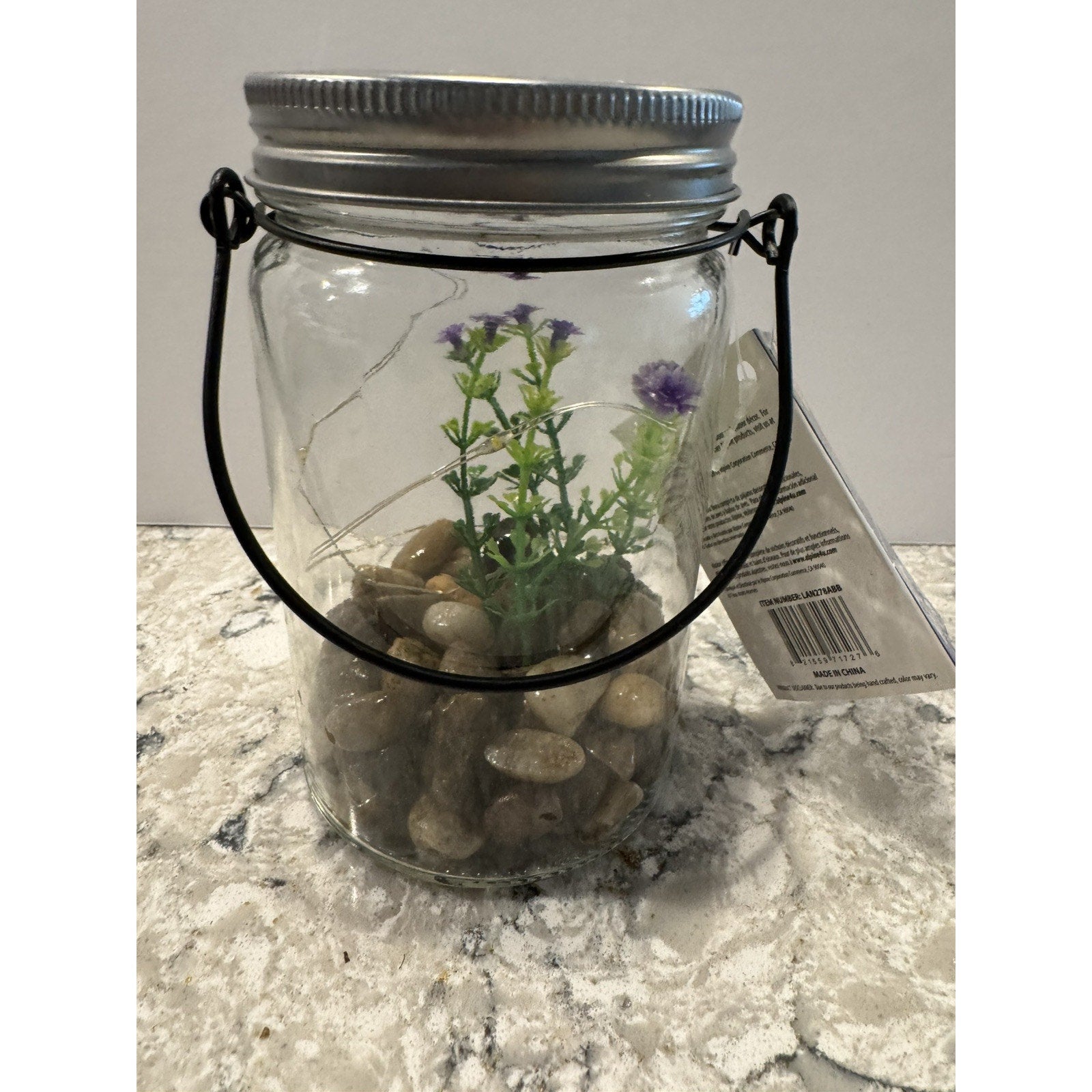 Hanging Succulent Jar LED Patio Lantern - 3” W x 6” H x 4” L
