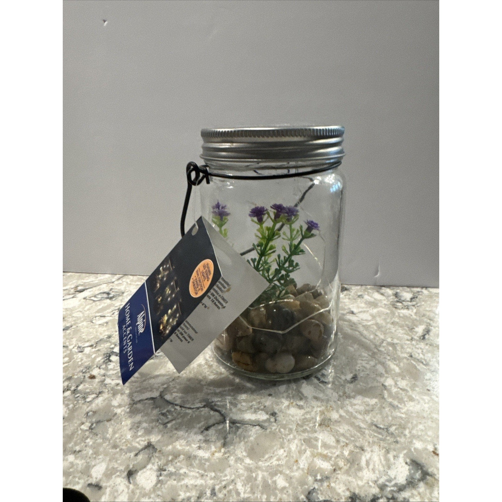 Hanging Succulent Jar LED Patio Lantern - 3” W x 6” H x 4” L