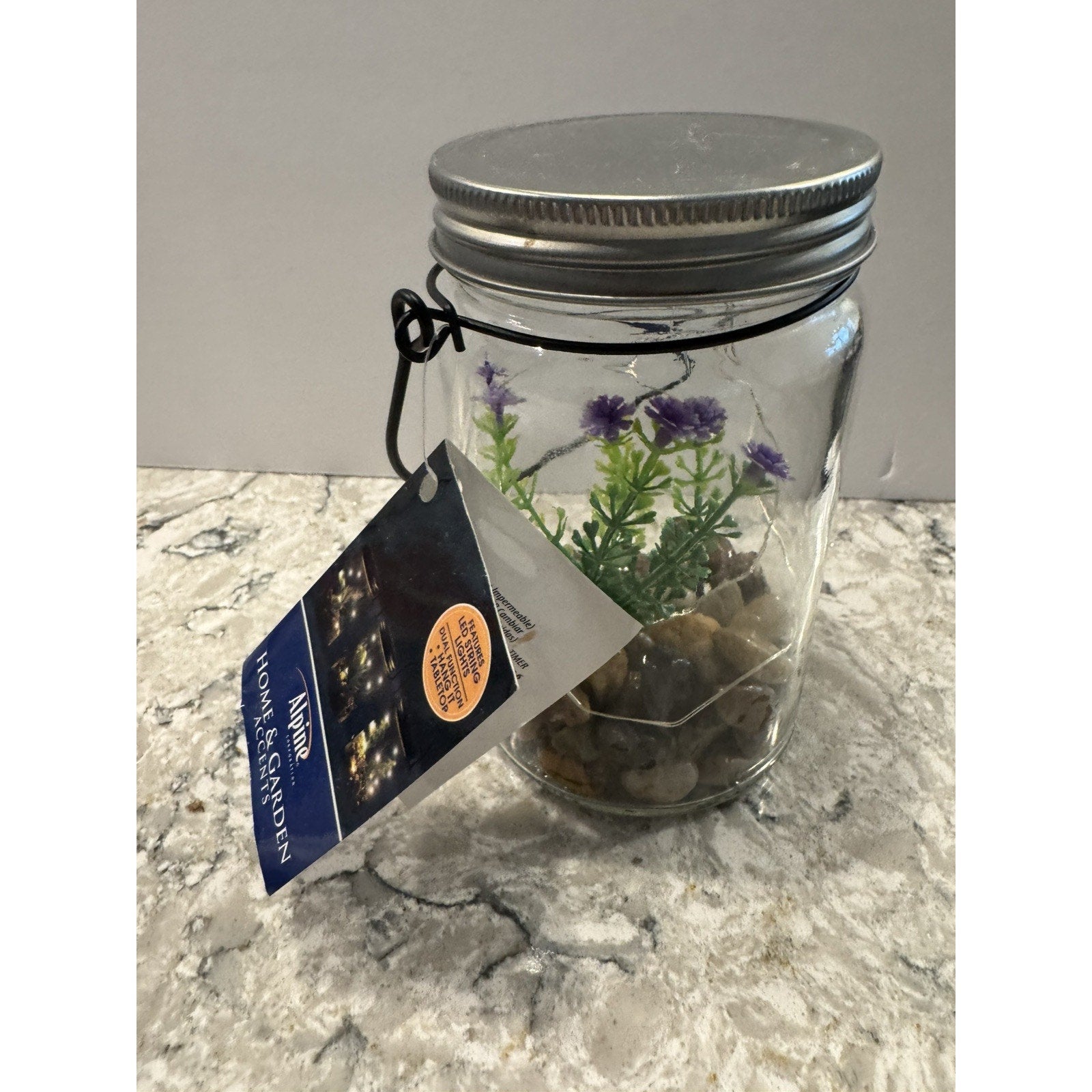 Hanging Succulent Jar LED Patio Lantern - 3” W x 6” H x 4” L