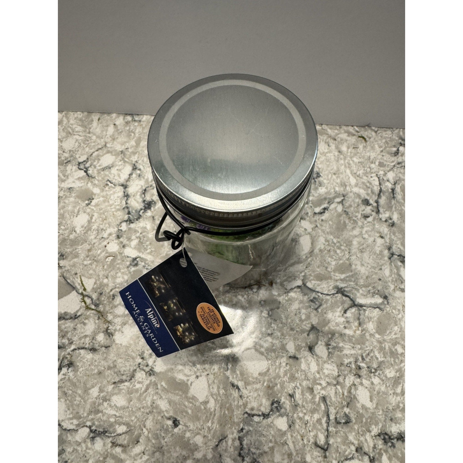Hanging Succulent Jar LED Patio Lantern - 3” W x 6” H x 4” L