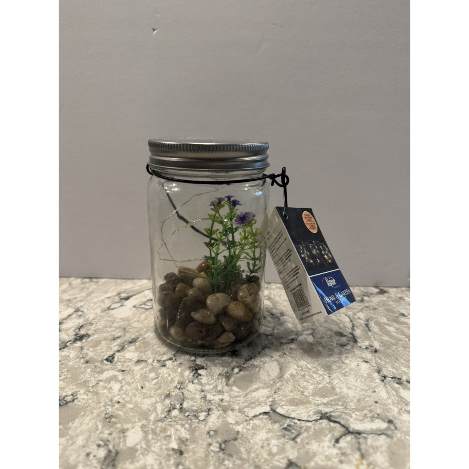 Hanging Succulent Jar LED Patio Lantern - 3” W x 6” H x 4” L